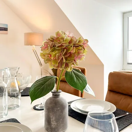 Koje Dreizehn 青斯特